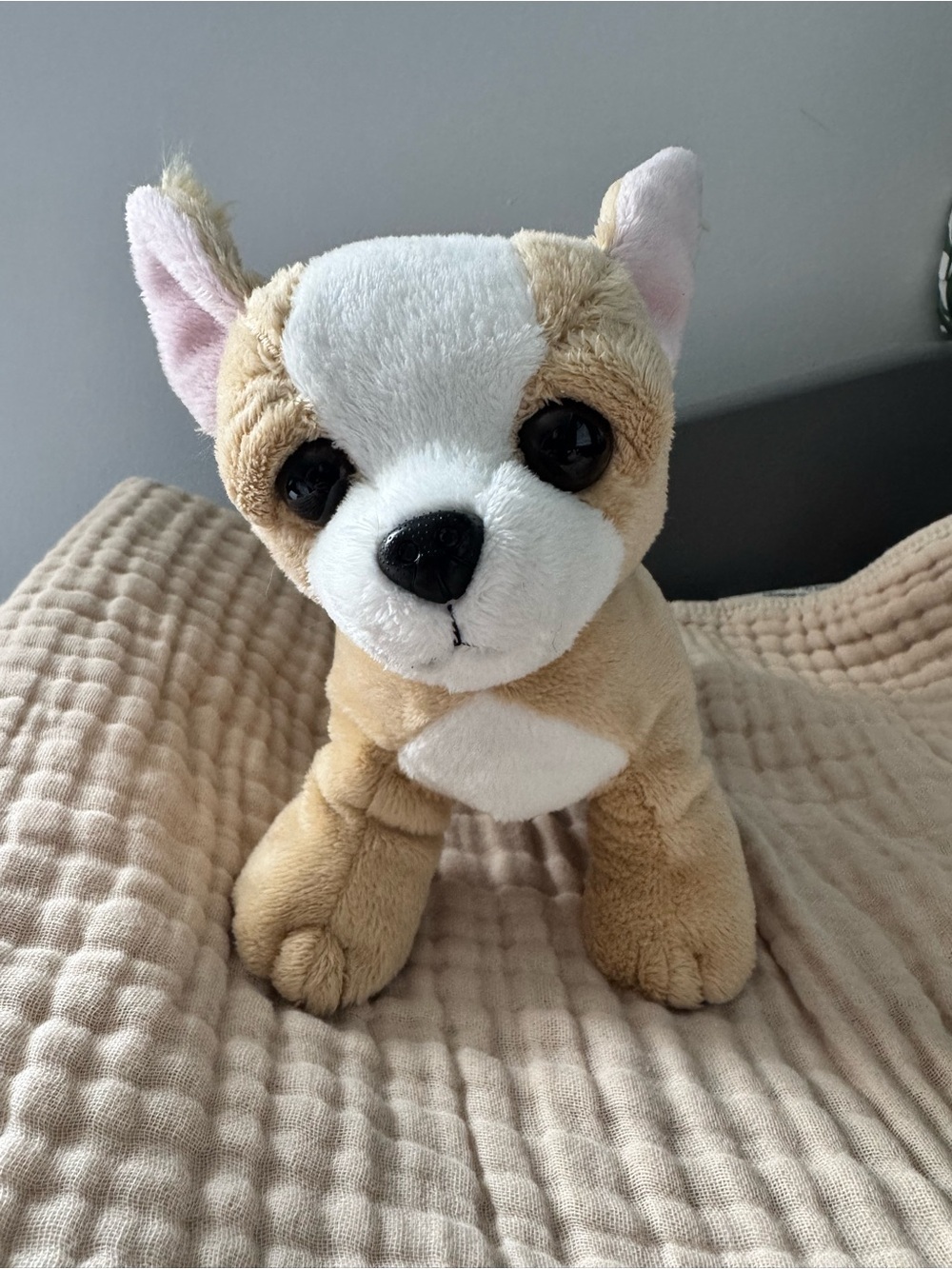Ganz Webkinz Chihuahua Plush 🐶💕 Retired Collectible – No Code